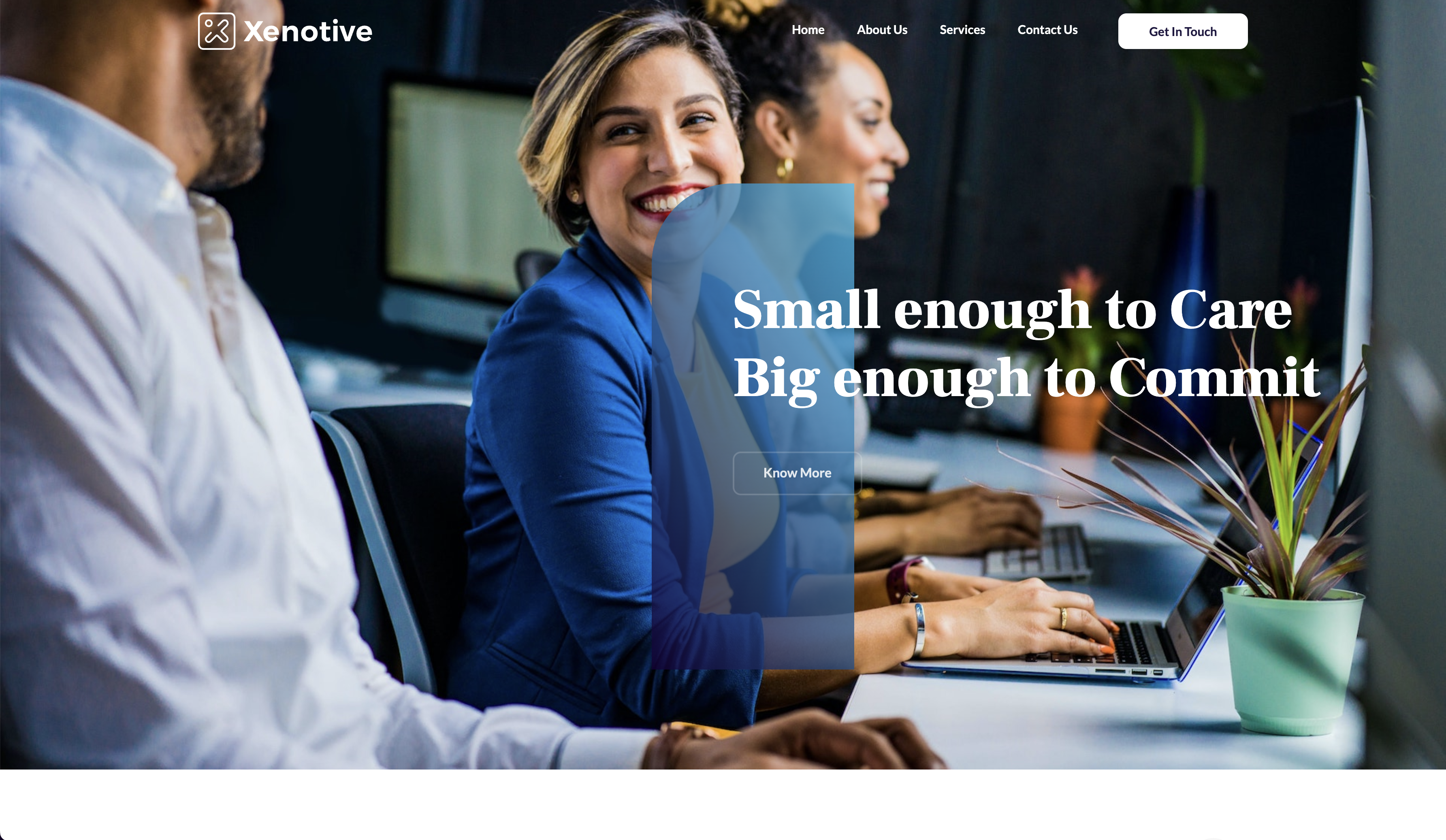 Xenotive Consulting Website